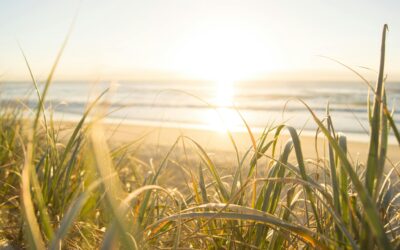 Climatisation efficace en été : 10 conseils simples pour rester au frais